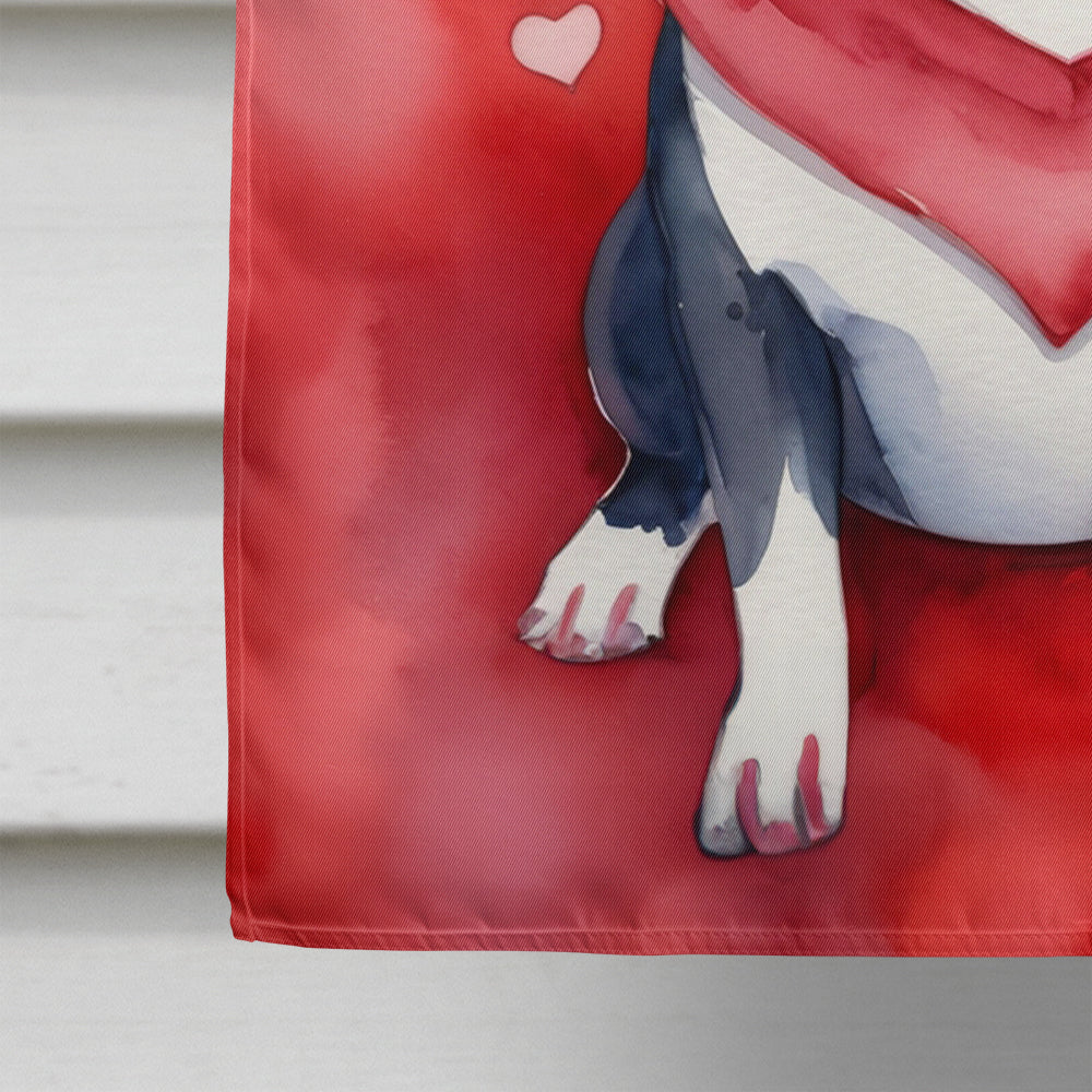 Boston Terrier My Valentine House Flag