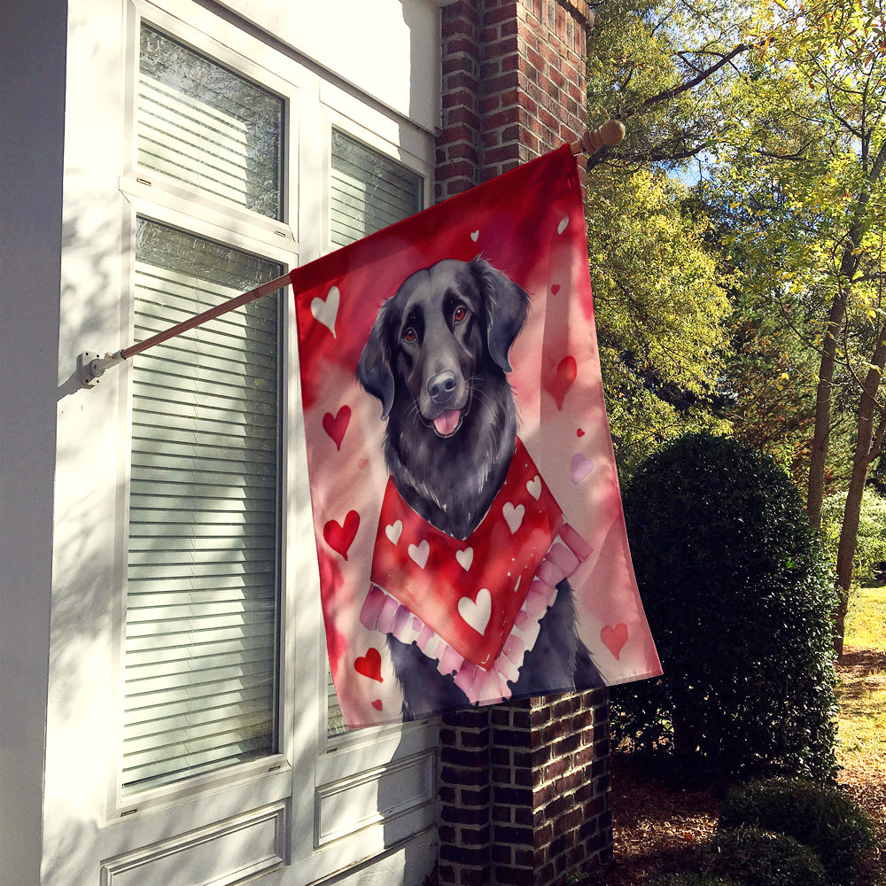 Buy this Flat-Coated Retriever My Valentine House Flag