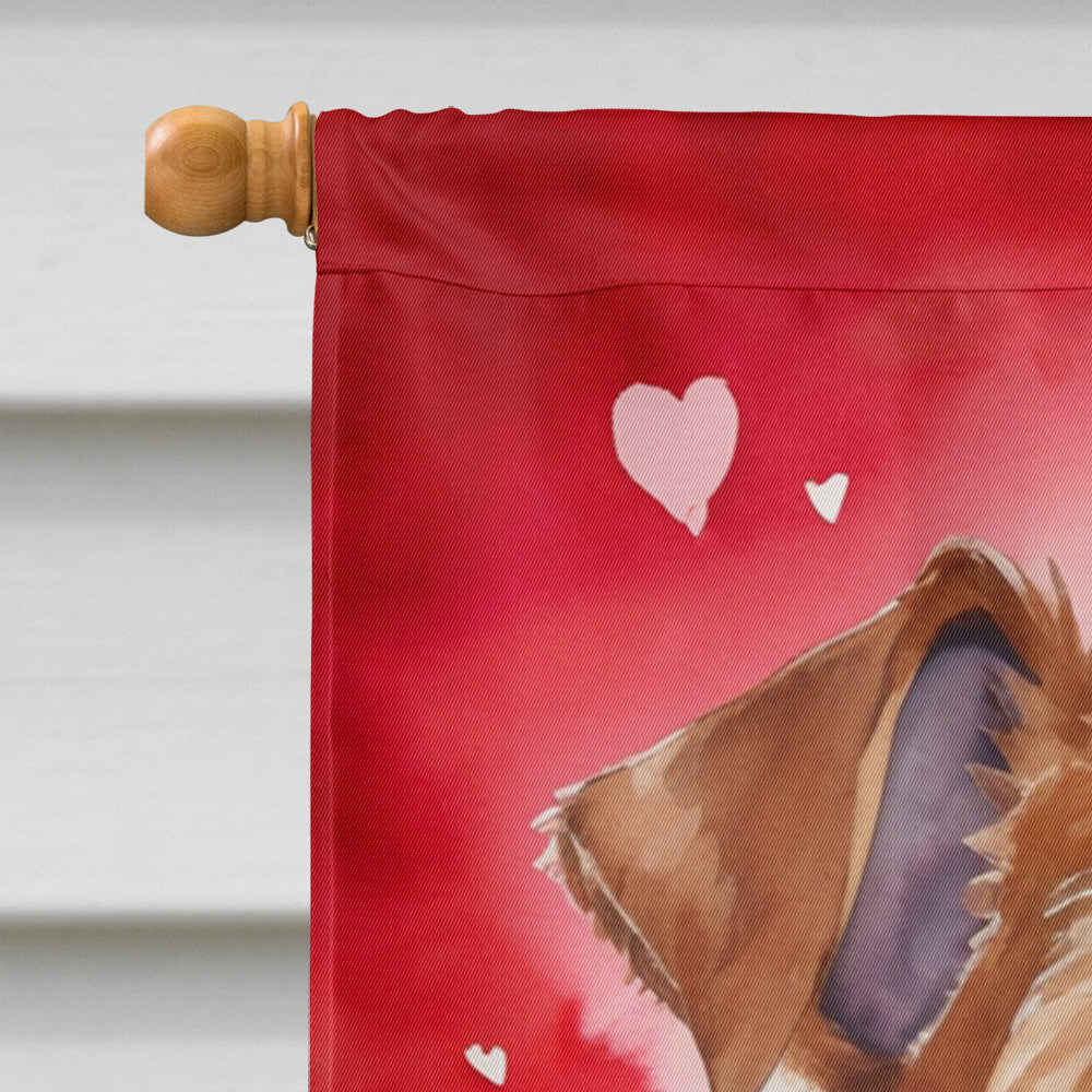 Irish Terrier My Valentine House Flag