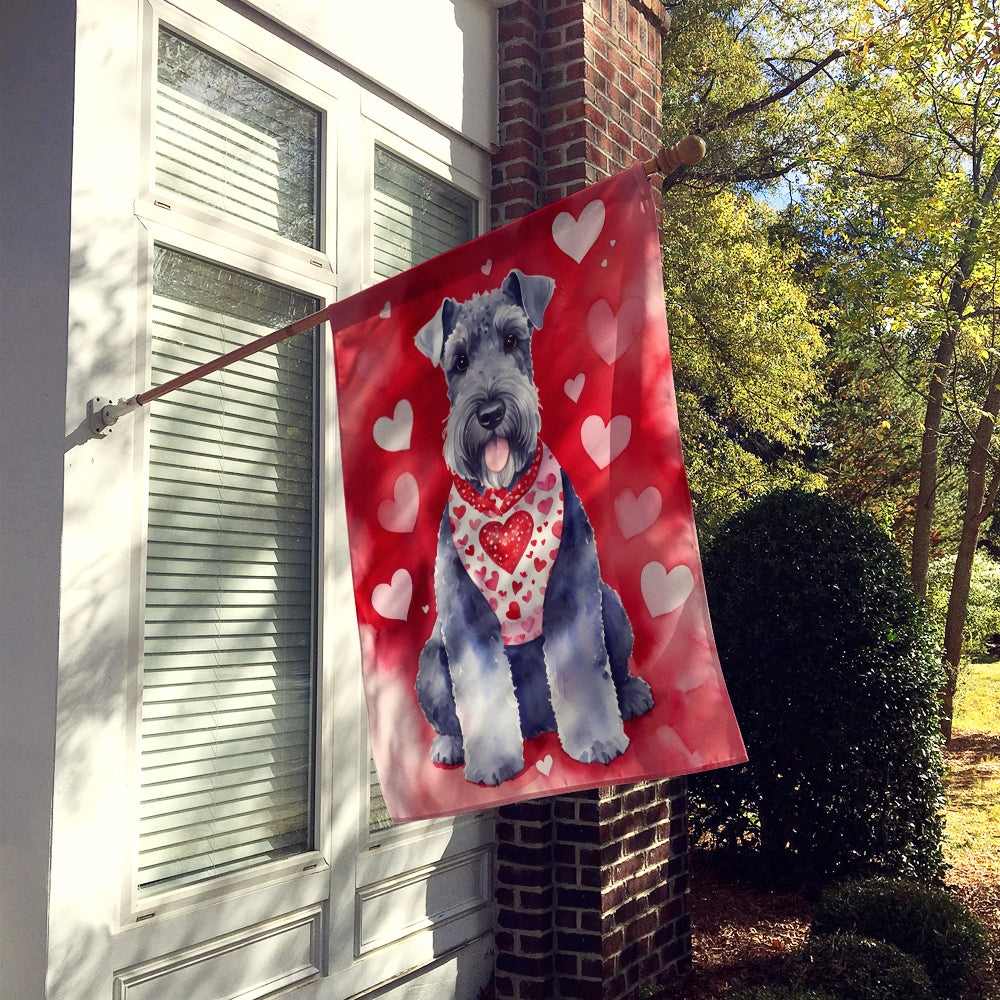 Buy this Kerry Blue Terrier My Valentine House Flag