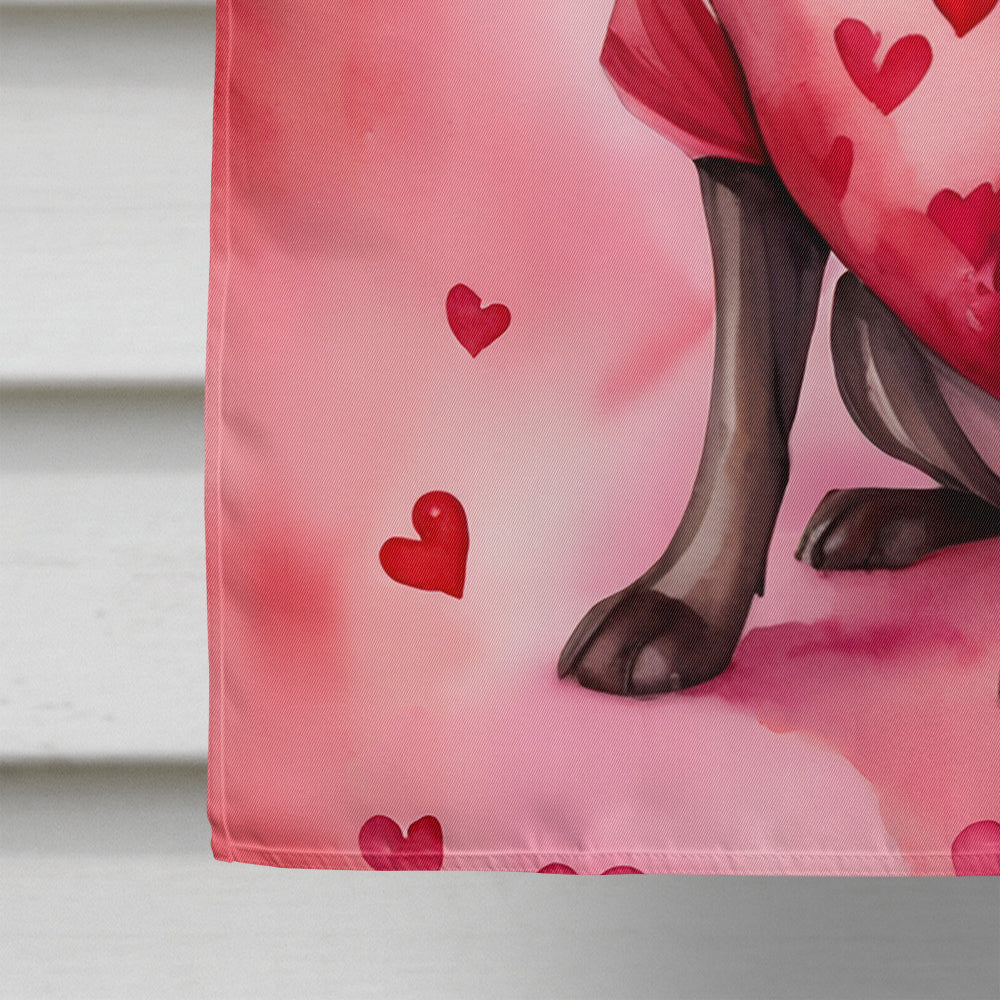 Chocolate Labrador Retriever My Valentine House Flag