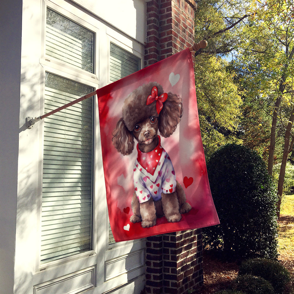 Buy this Chocolate Poodle My Valentine House Flag