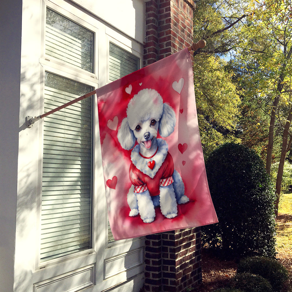Buy this White Poodle My Valentine House Flag