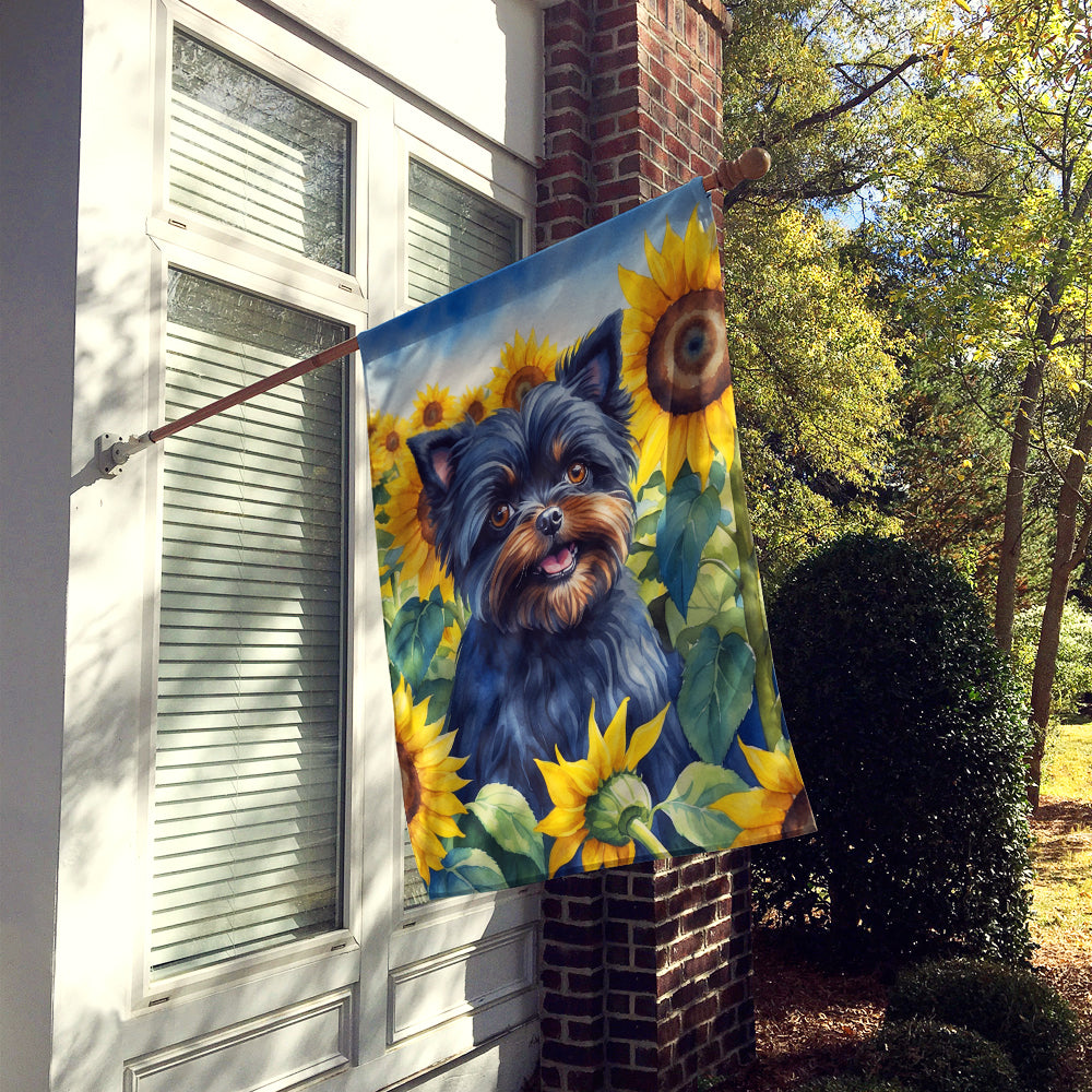 Buy this Affenpinscher in Sunflowers House Flag