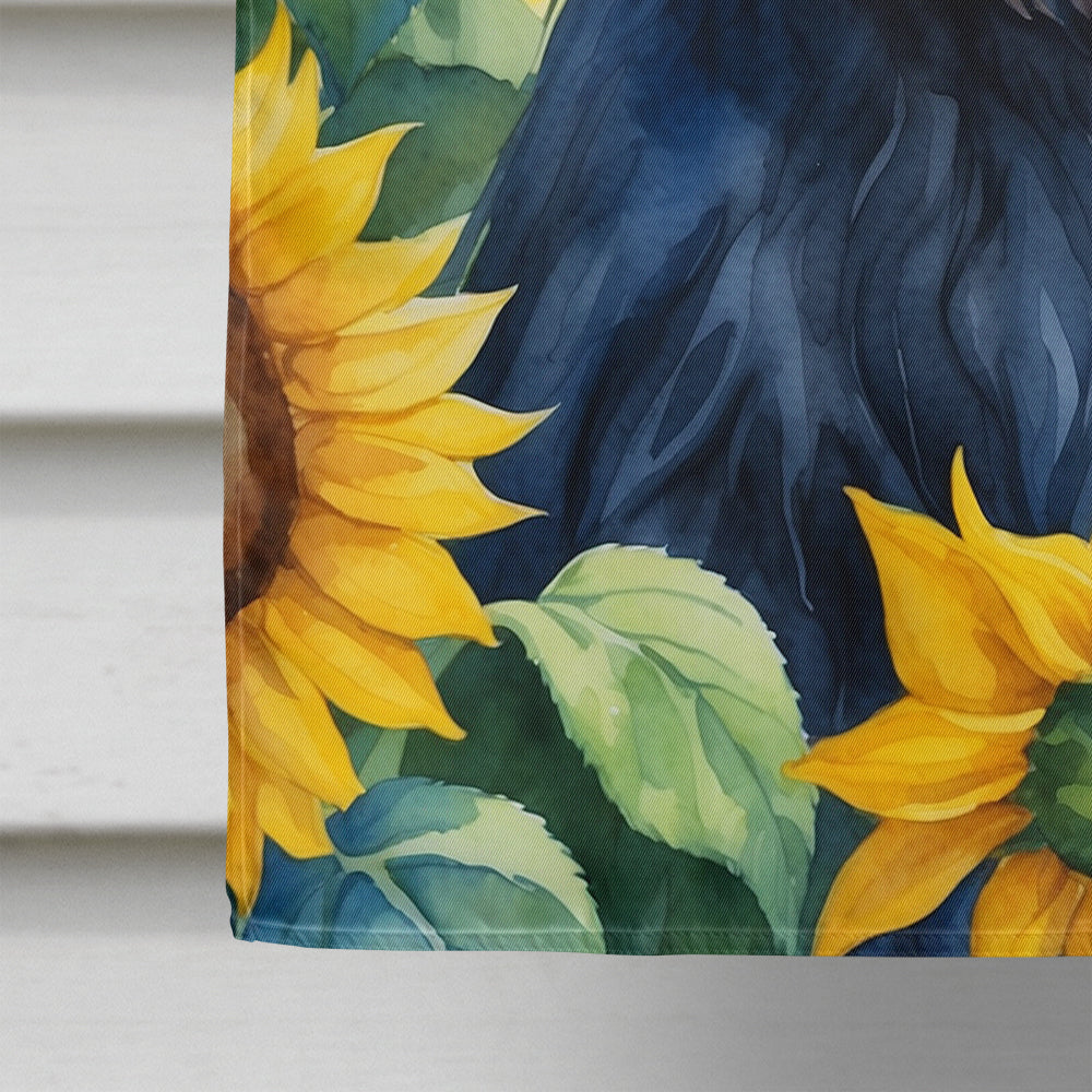 Affenpinscher in Sunflowers House Flag