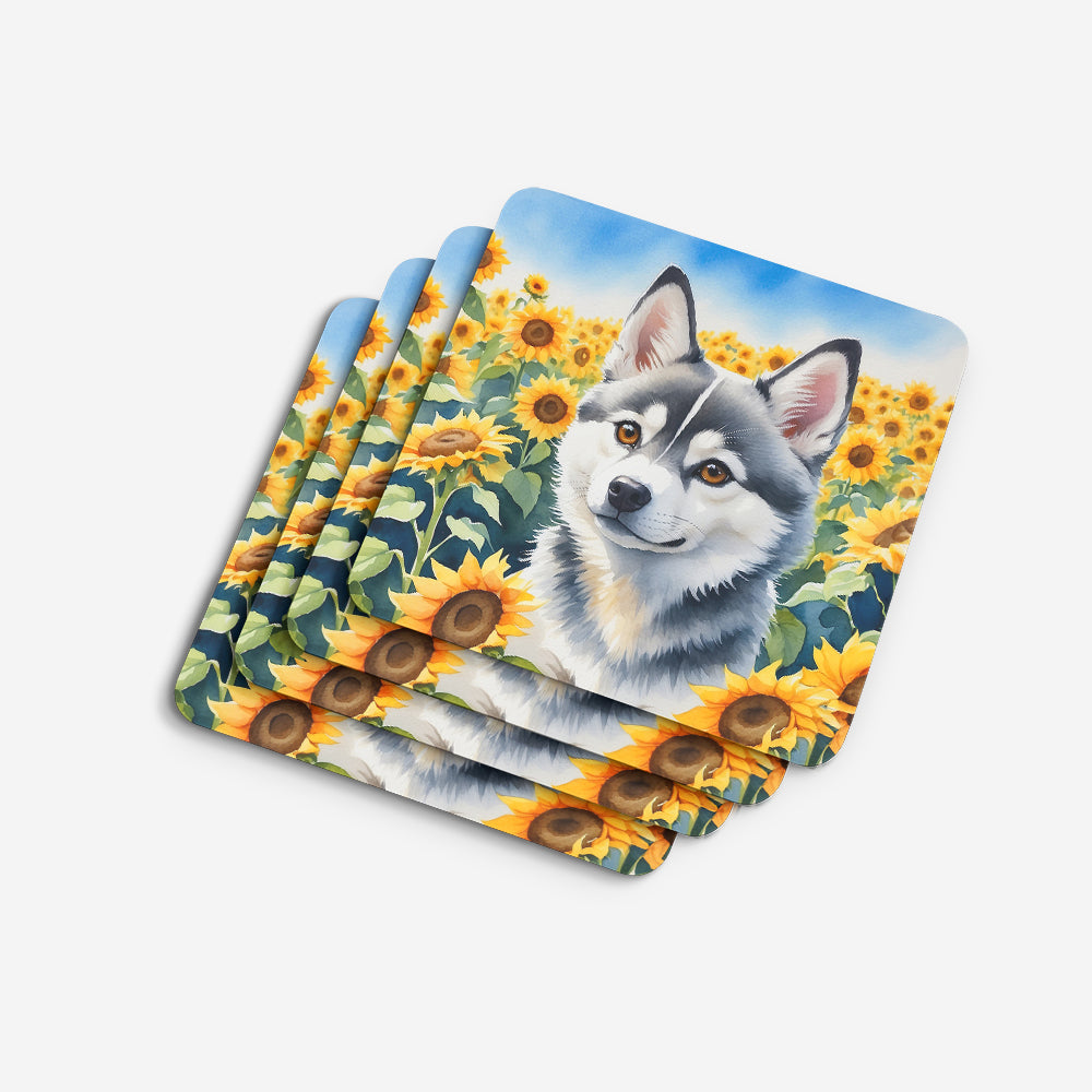 Alaskan Klee Kai in Sunflowers Foam Coasters