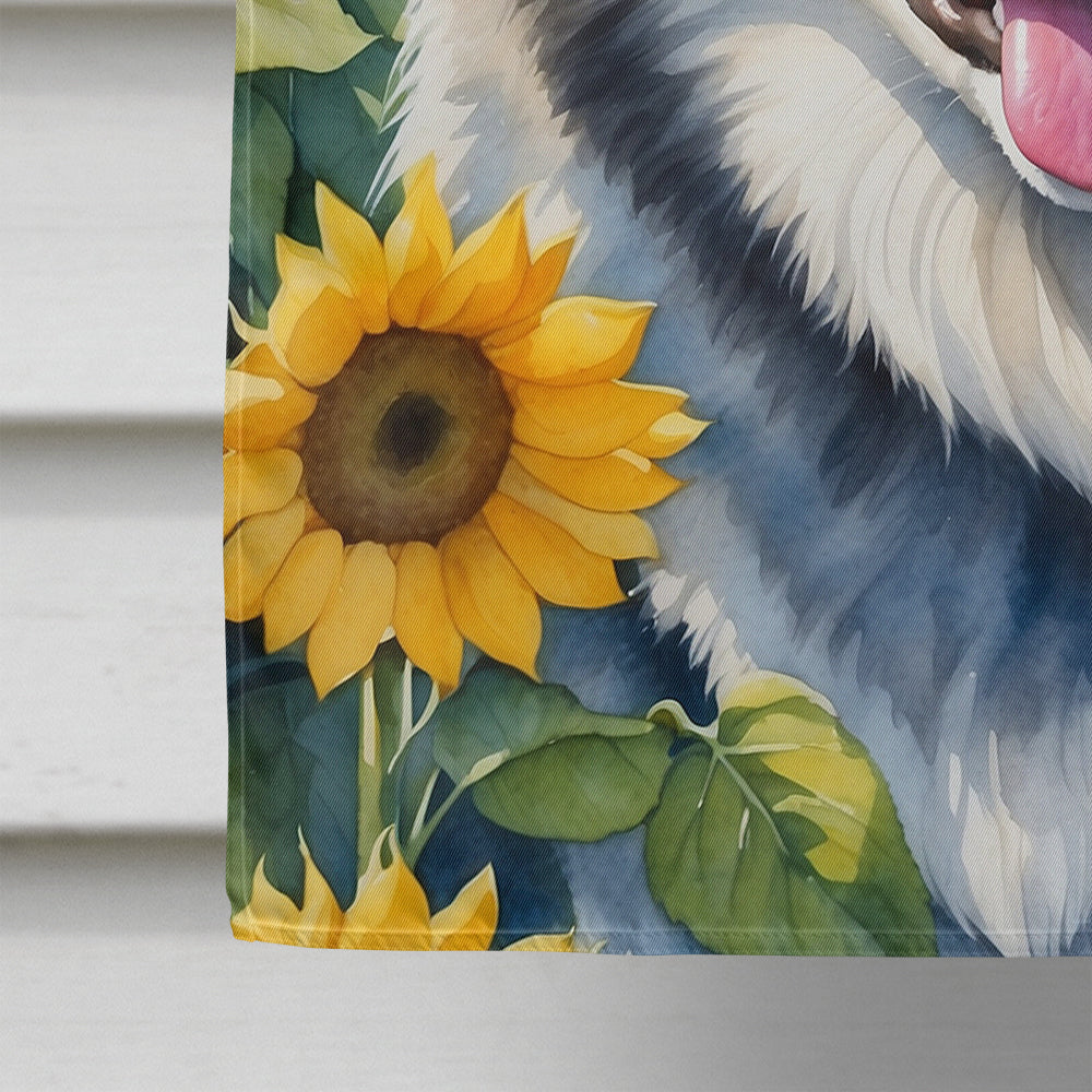 Alaskan Malamute in Sunflowers House Flag