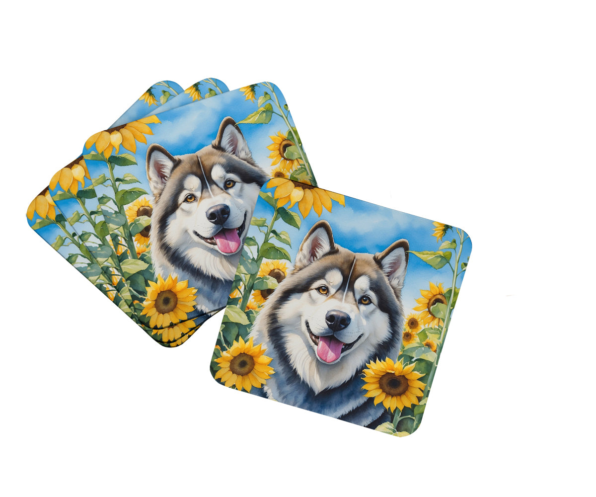 Buy this Alaskan Malamute in Sunflowers Foam Coasters