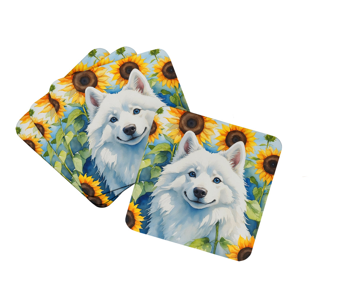 Caroline's Treasures American Eskimo in Sunflowers Coasters - Set of 4 Lightweight Foam, Absorbent Drink Coasters