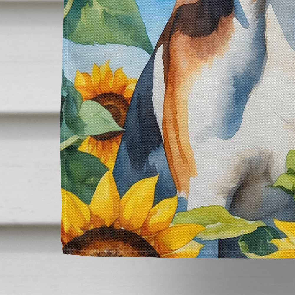 American Foxhound in Sunflowers House Flag