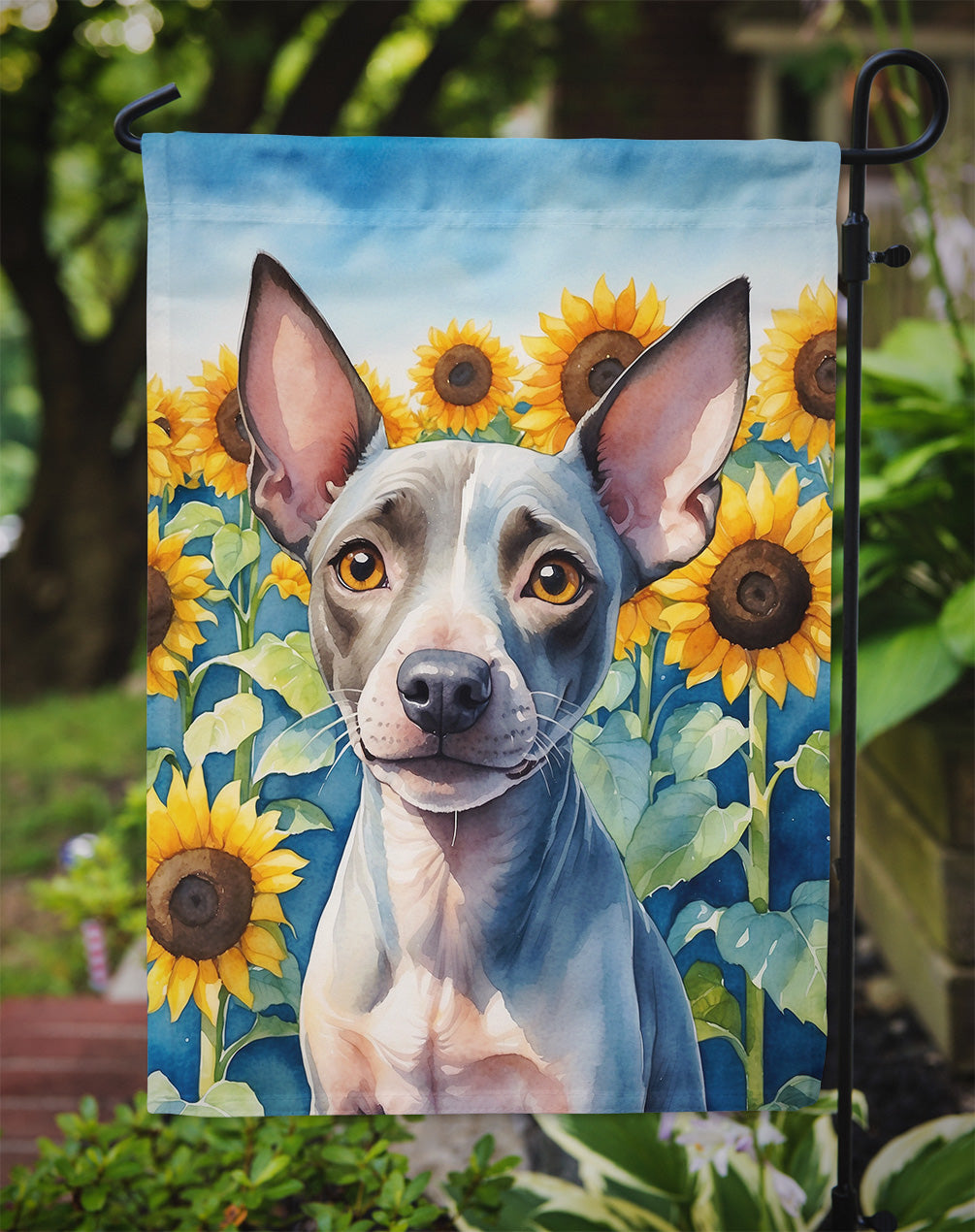 American Hairless Terrier in Sunflowers Garden Flag
