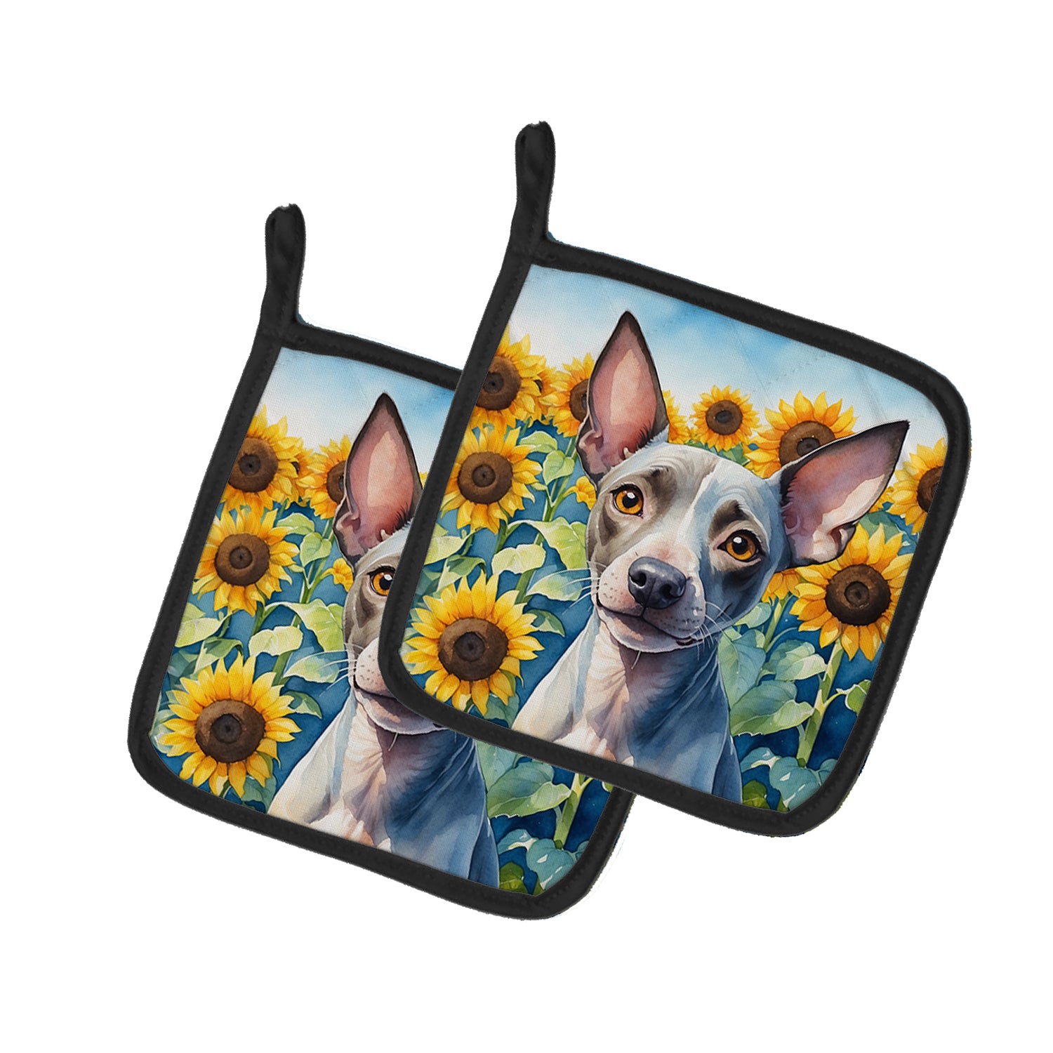 Buy this American Hairless Terrier in Sunflowers Pair of Pot Holders