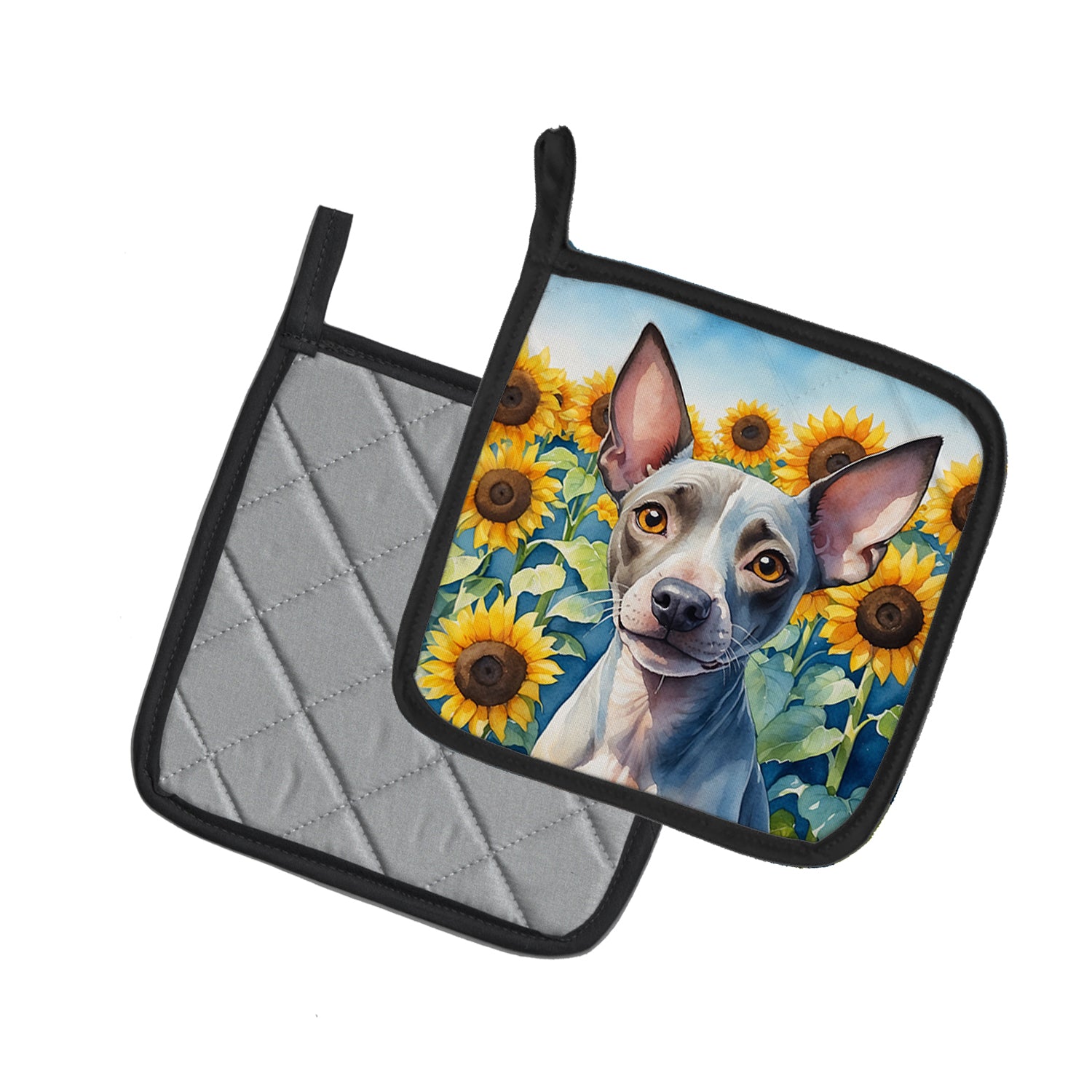 American Hairless Terrier in Sunflowers Pair of Pot Holders