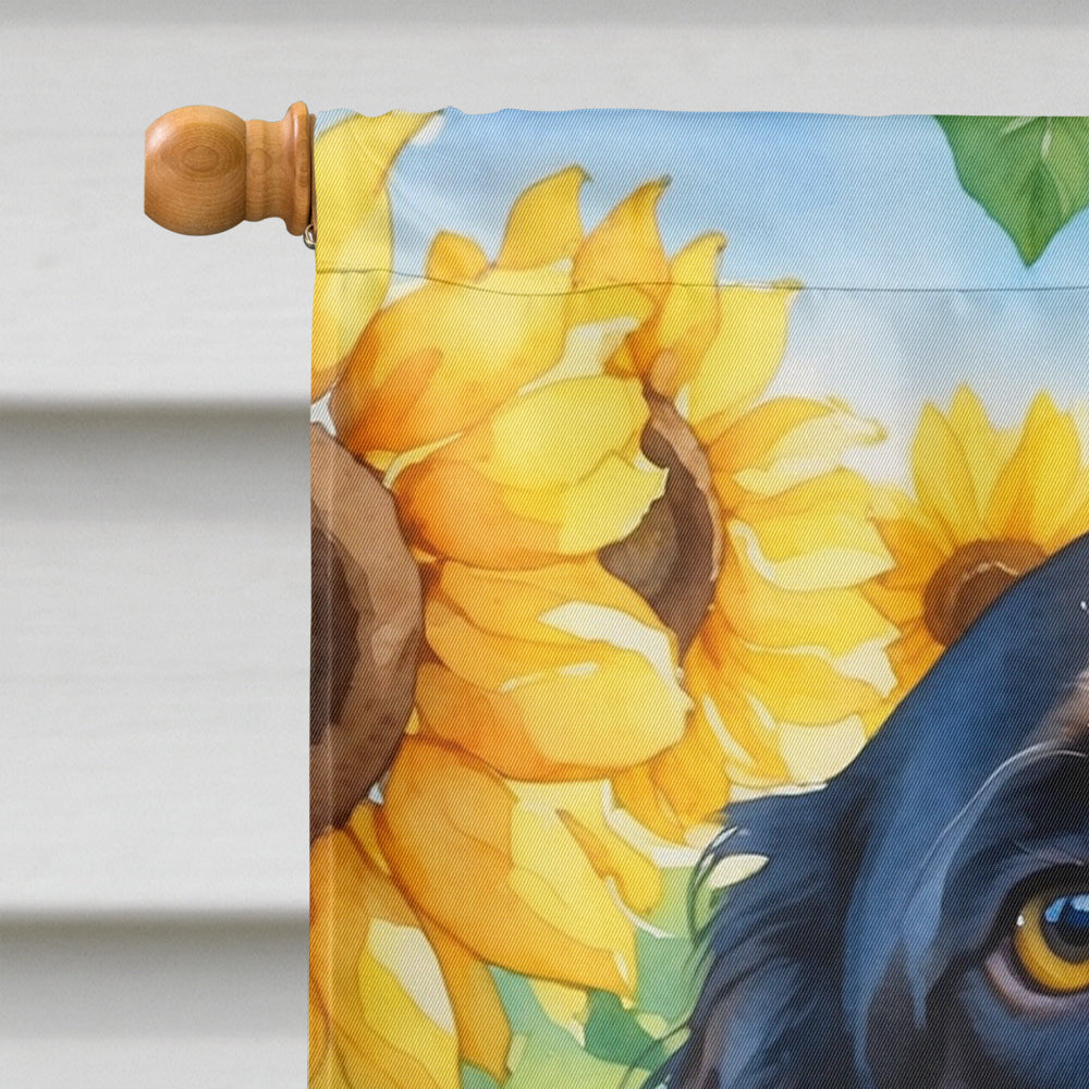 American Water Spaniel in Sunflowers House Flag