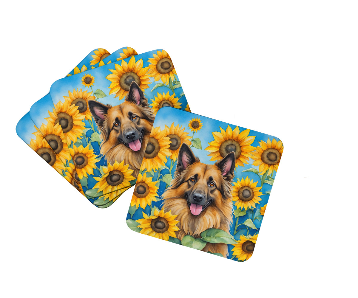 Buy this Belgian Tervuren in Sunflowers Foam Coasters