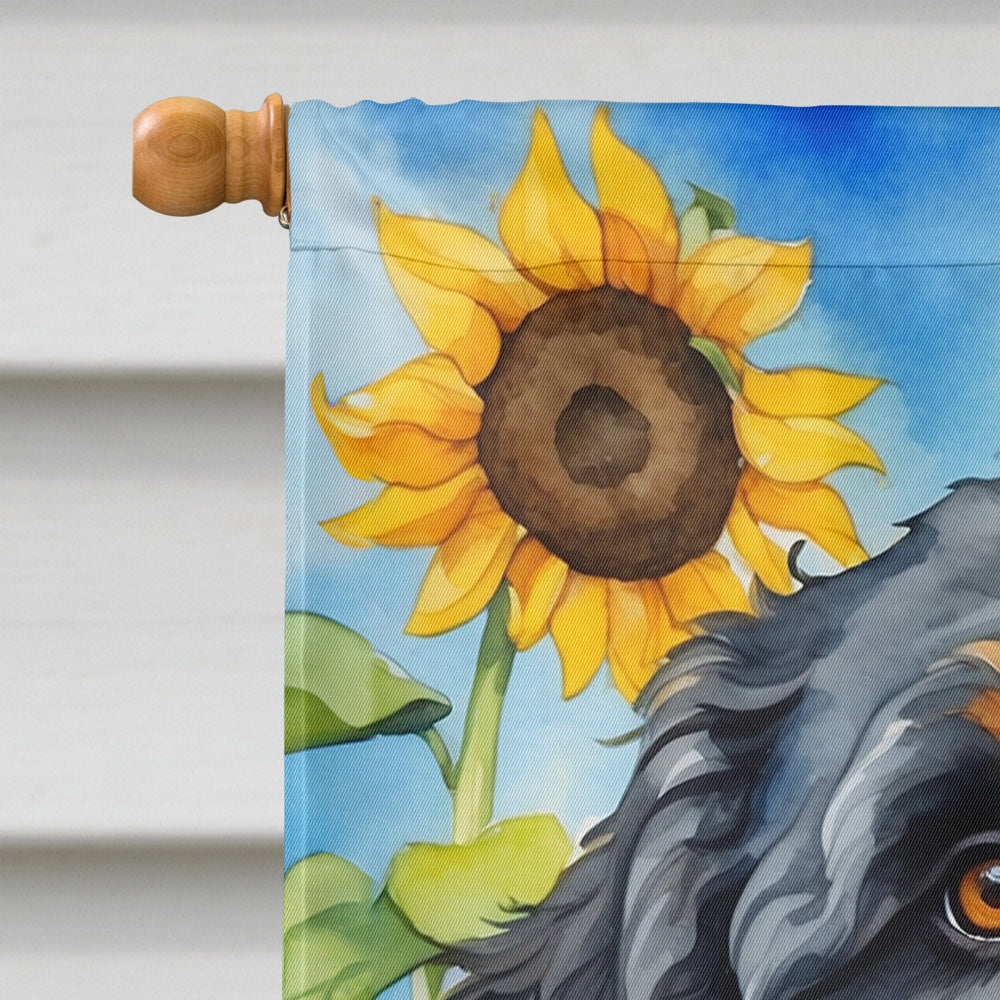 Bernedoodle in Sunflowers House Flag