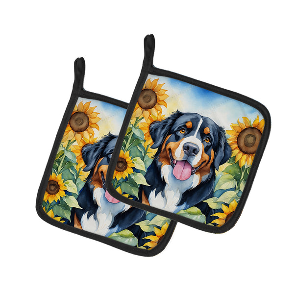 Buy this Bernese Mountain Dog in Sunflowers Pair of Pot Holders