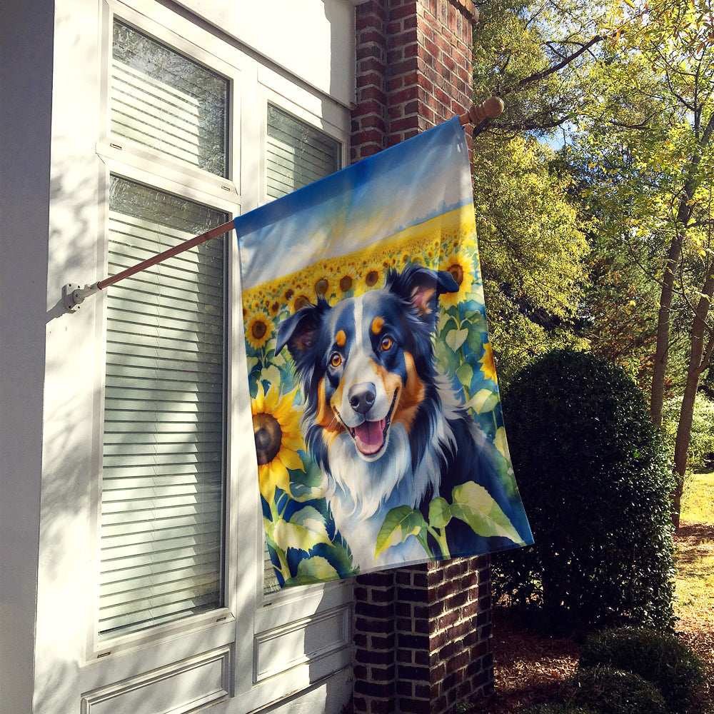 Buy this Border Collie in Sunflowers House Flag