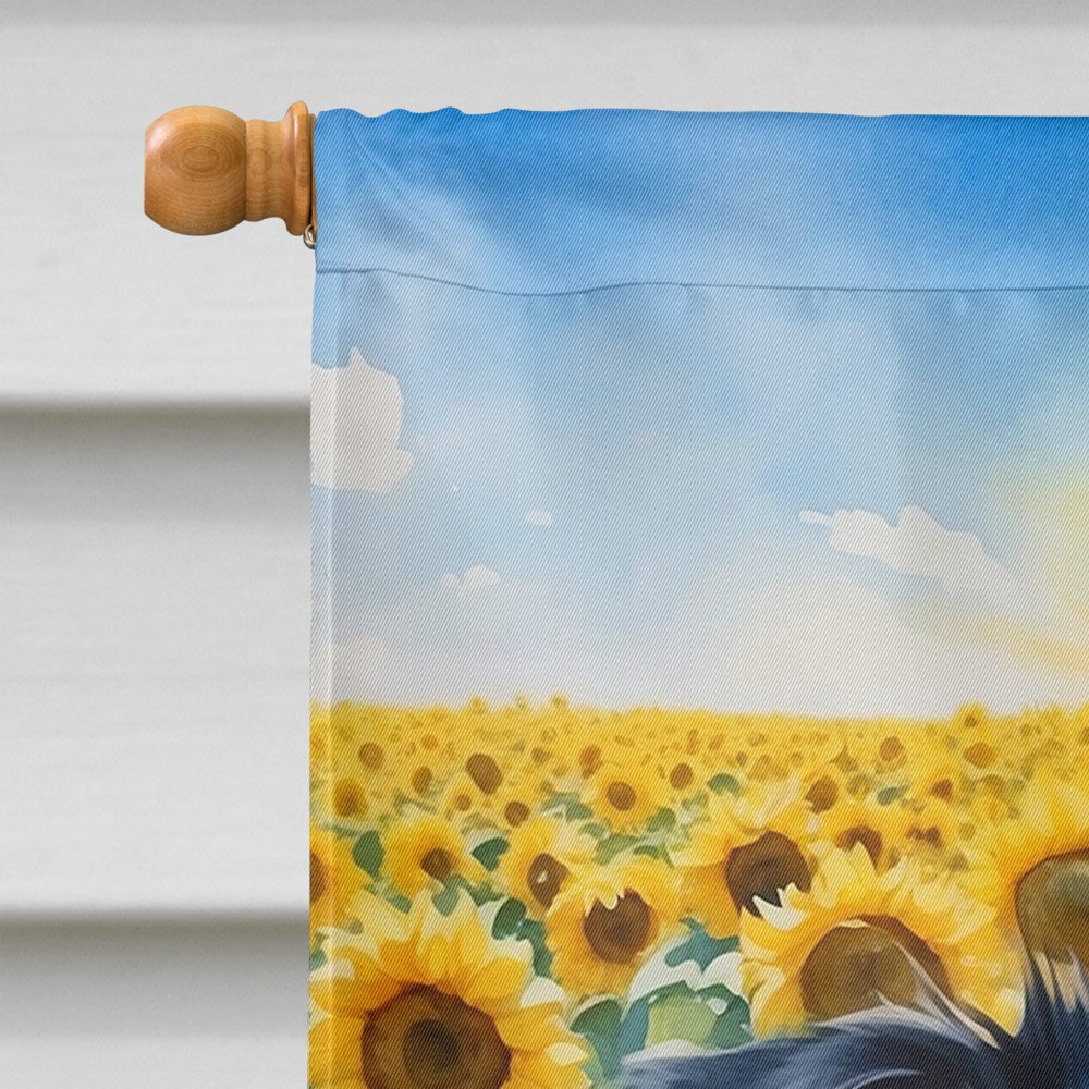 Border Collie in Sunflowers House Flag
