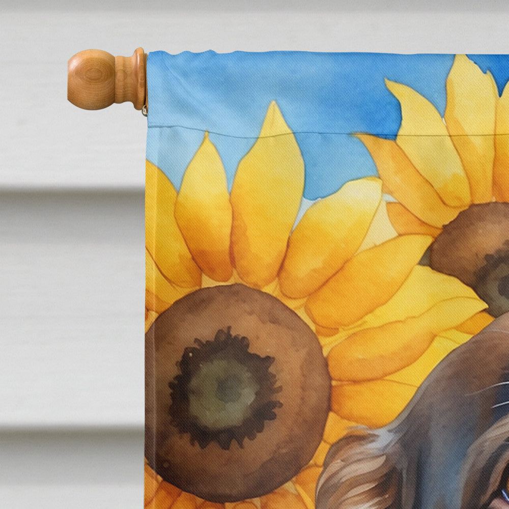 Boykin Spaniel in Sunflowers House Flag