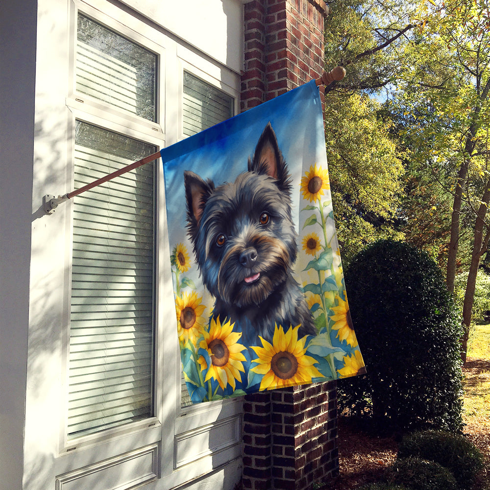 Cairn Terrier in Sunflowers House Flag