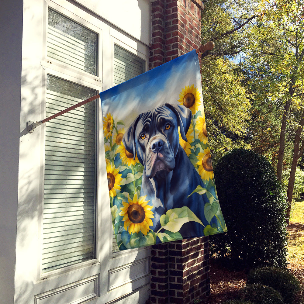 Buy this Cane Corso in Sunflowers House Flag