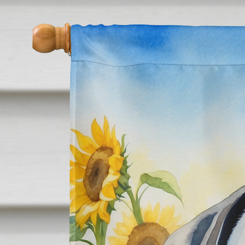 Cane Corso in Sunflowers House Flag