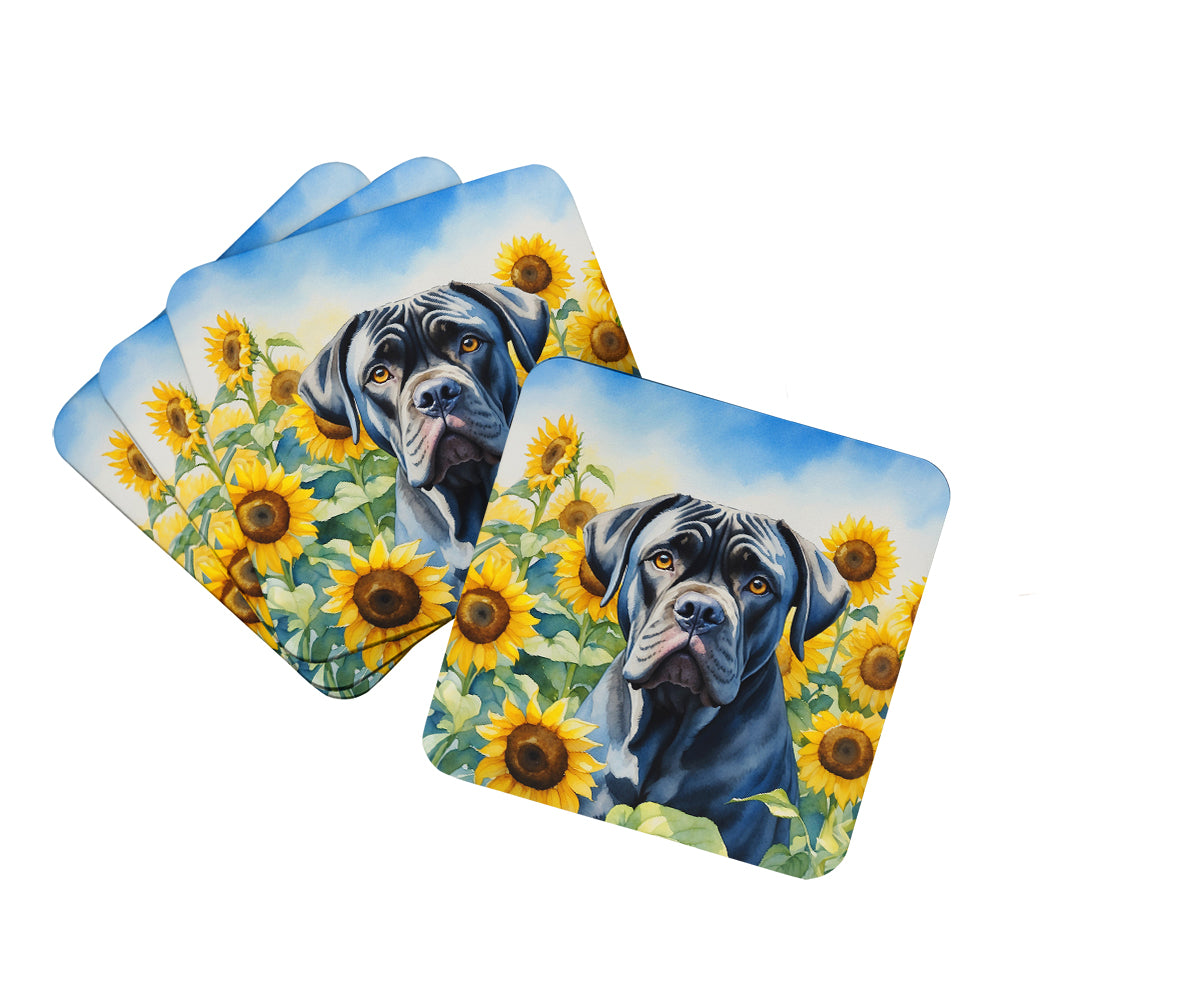 Buy this Cane Corso in Sunflowers Foam Coasters