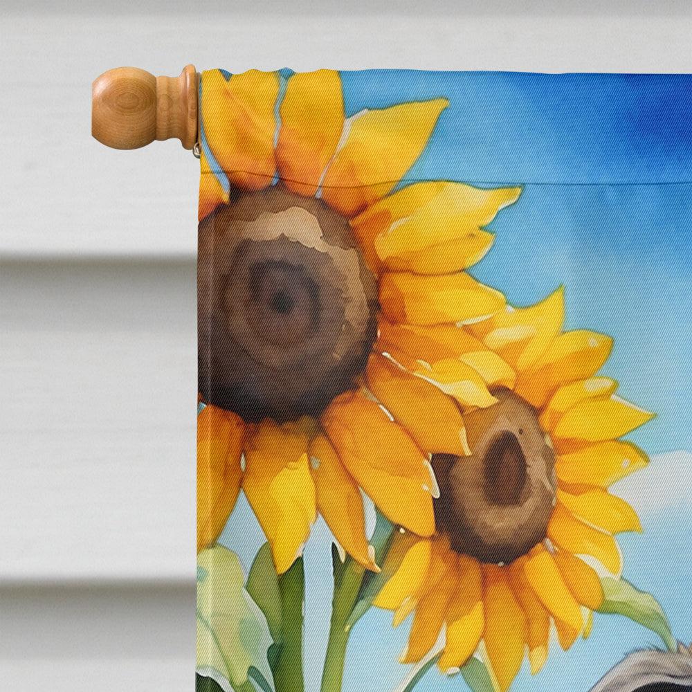 Catahoula in Sunflowers House Flag