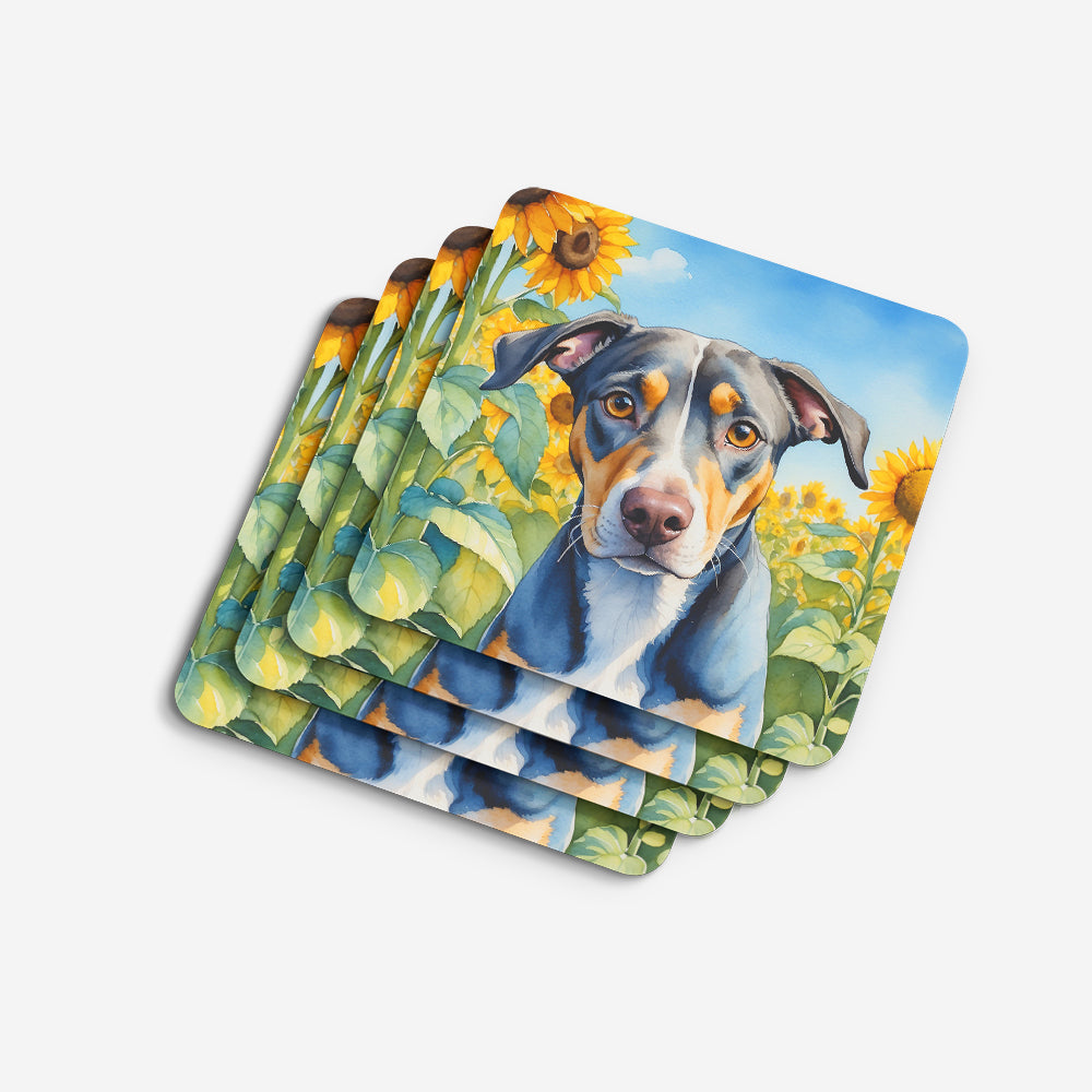 Caroline's Treasures Catahoula in Sunflowers Coasters - Set of 4 Lightweight Foam, Absorbent Drink Coasters