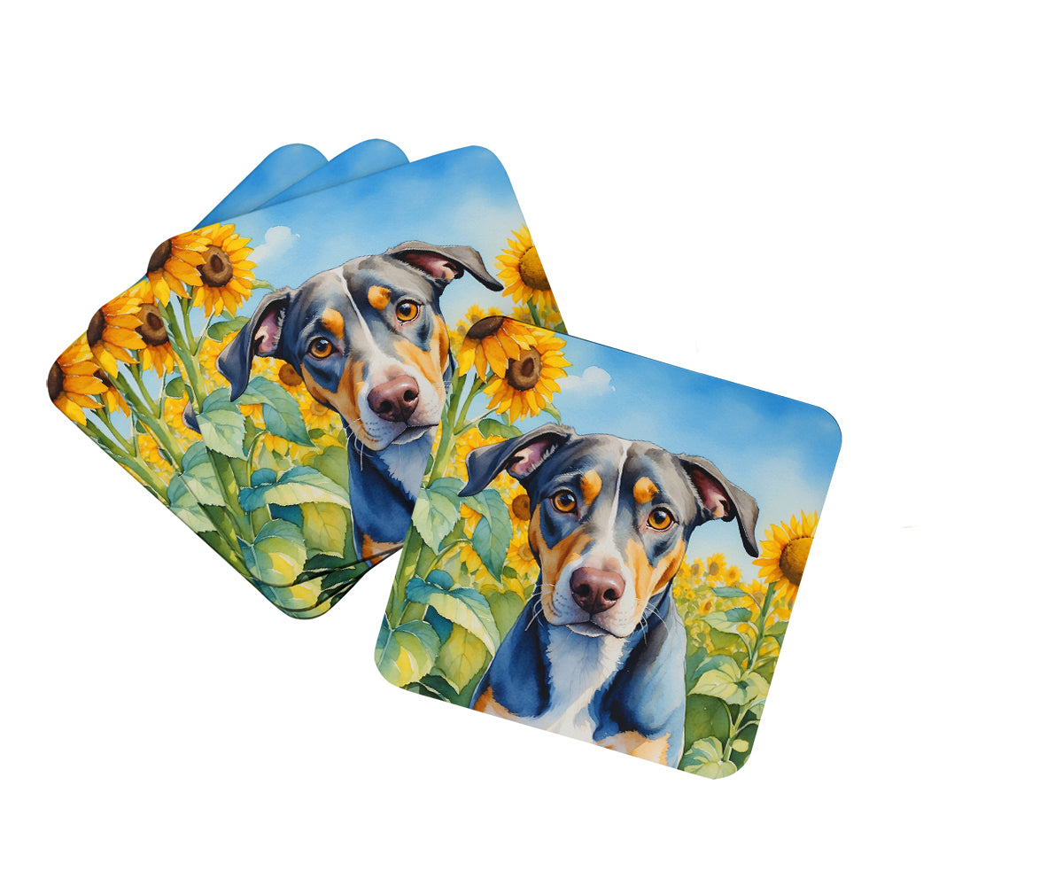 Caroline's Treasures Catahoula in Sunflowers Coasters - Set of 4 Lightweight Foam, Absorbent Drink Coasters