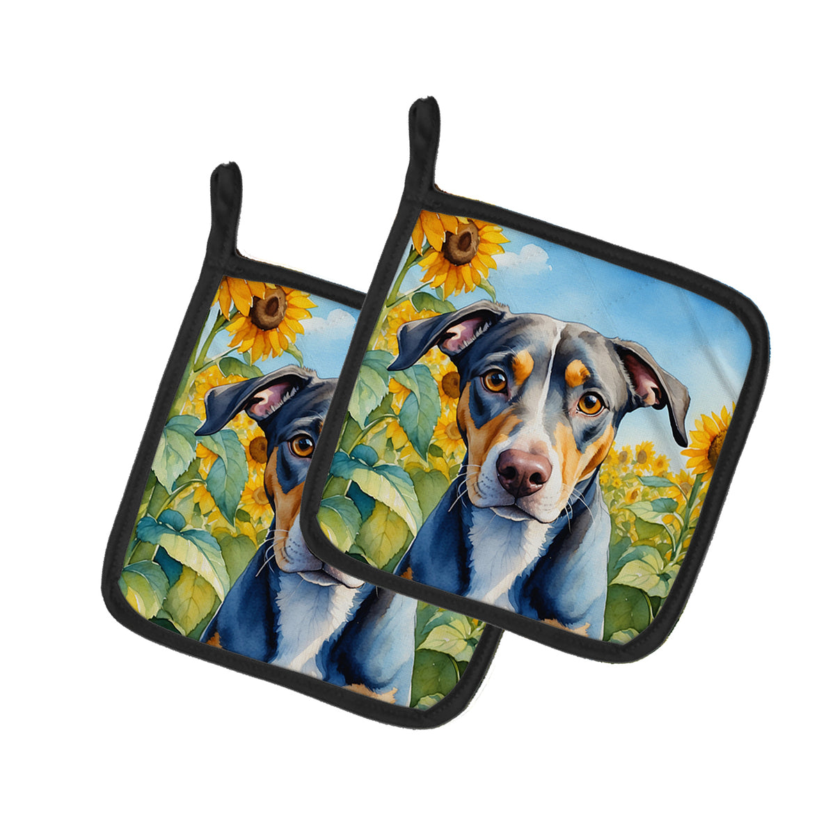 Buy this Catahoula in Sunflowers Pair of Pot Holders
