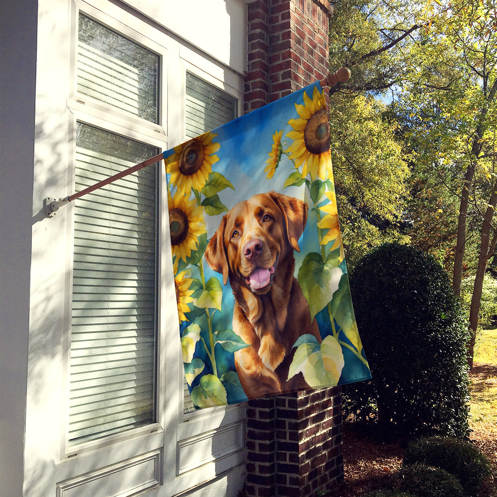 Chesapeake Bay Retriever in Sunflowers House Flag