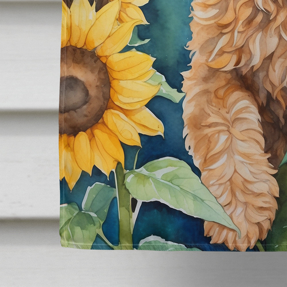 Cockapoo in Sunflowers House Flag