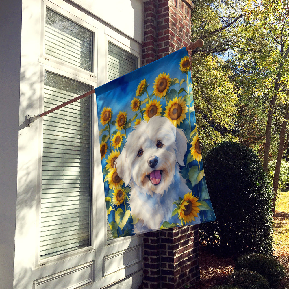 Coton de Tulear in Sunflowers House Flag