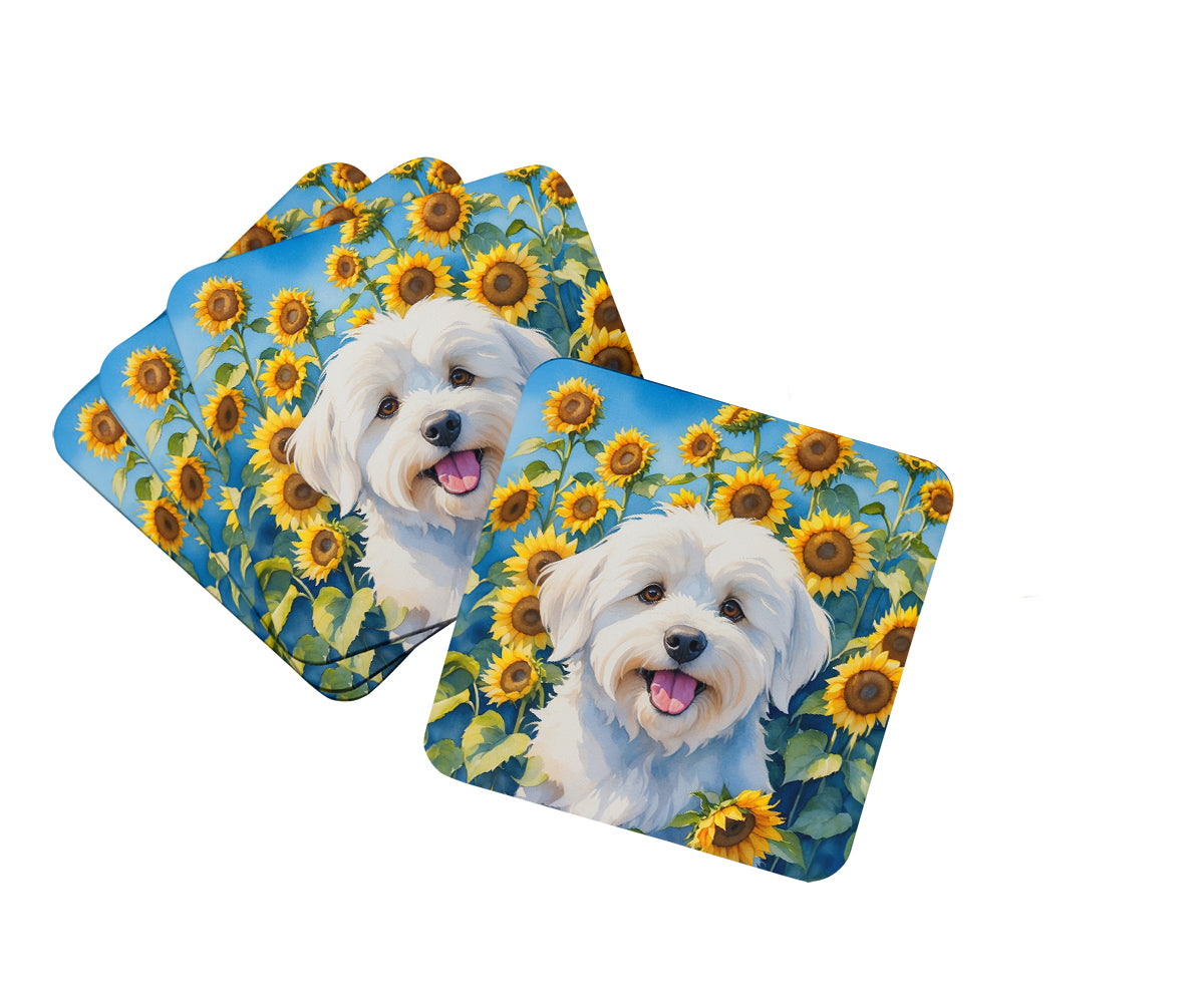 Buy this Coton de Tulear in Sunflowers Foam Coasters