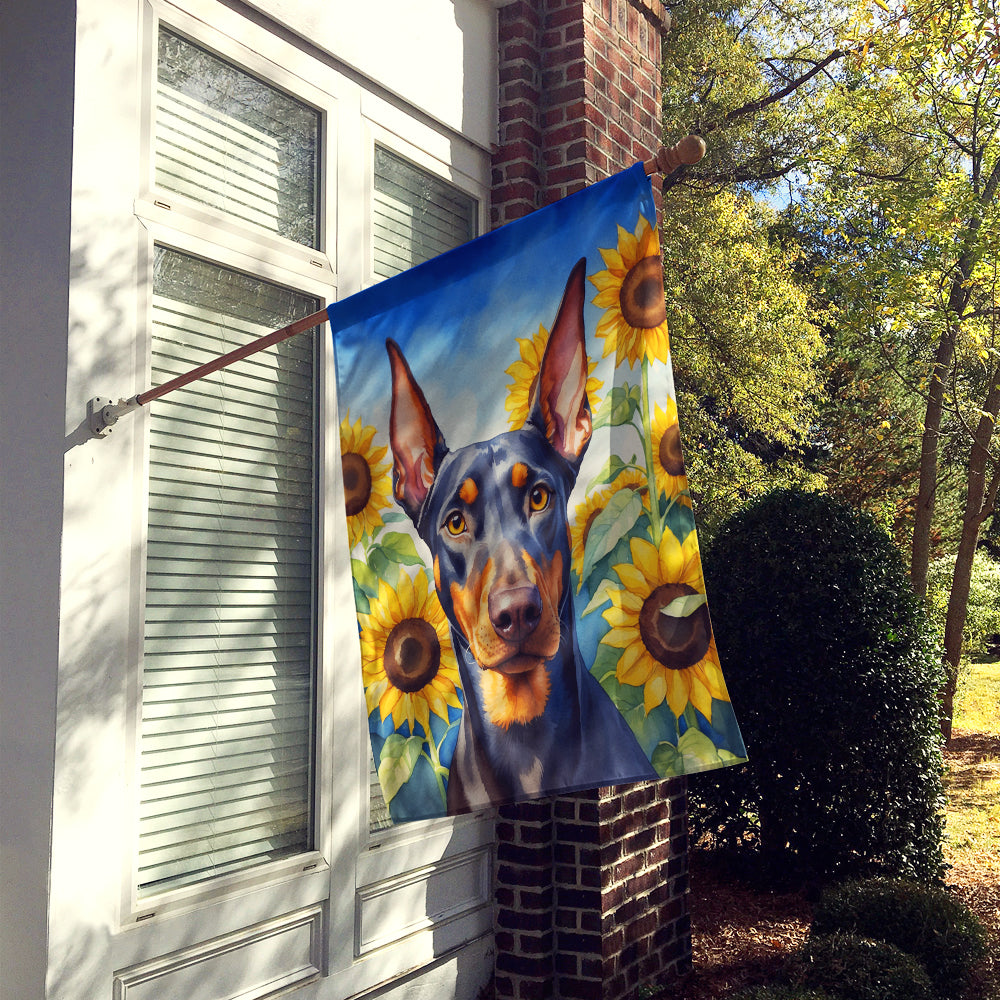 Doberman Pinscher in Sunflowers House Flag