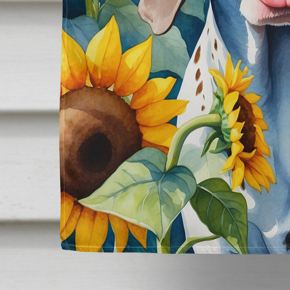 German Shorthaired Pointer in Sunflowers House Flag