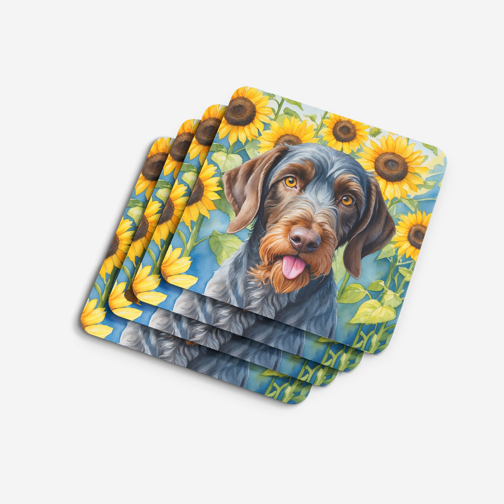 German Wirehaired Pointer in Sunflowers Foam Coasters