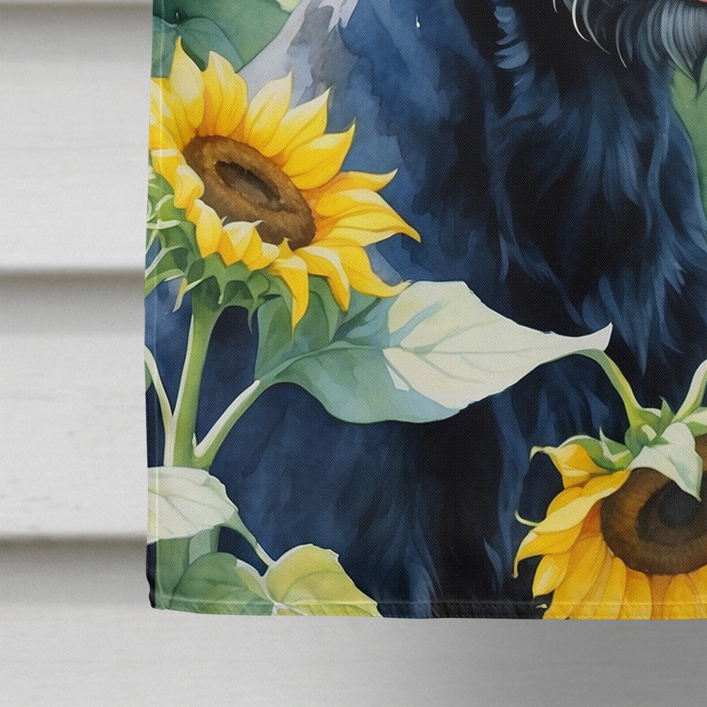 Giant Schnauzer in Sunflowers House Flag