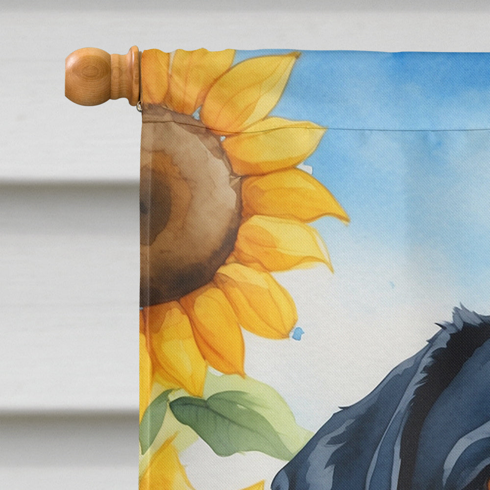 Greater Swiss Mountain Dog in Sunflowers House Flag