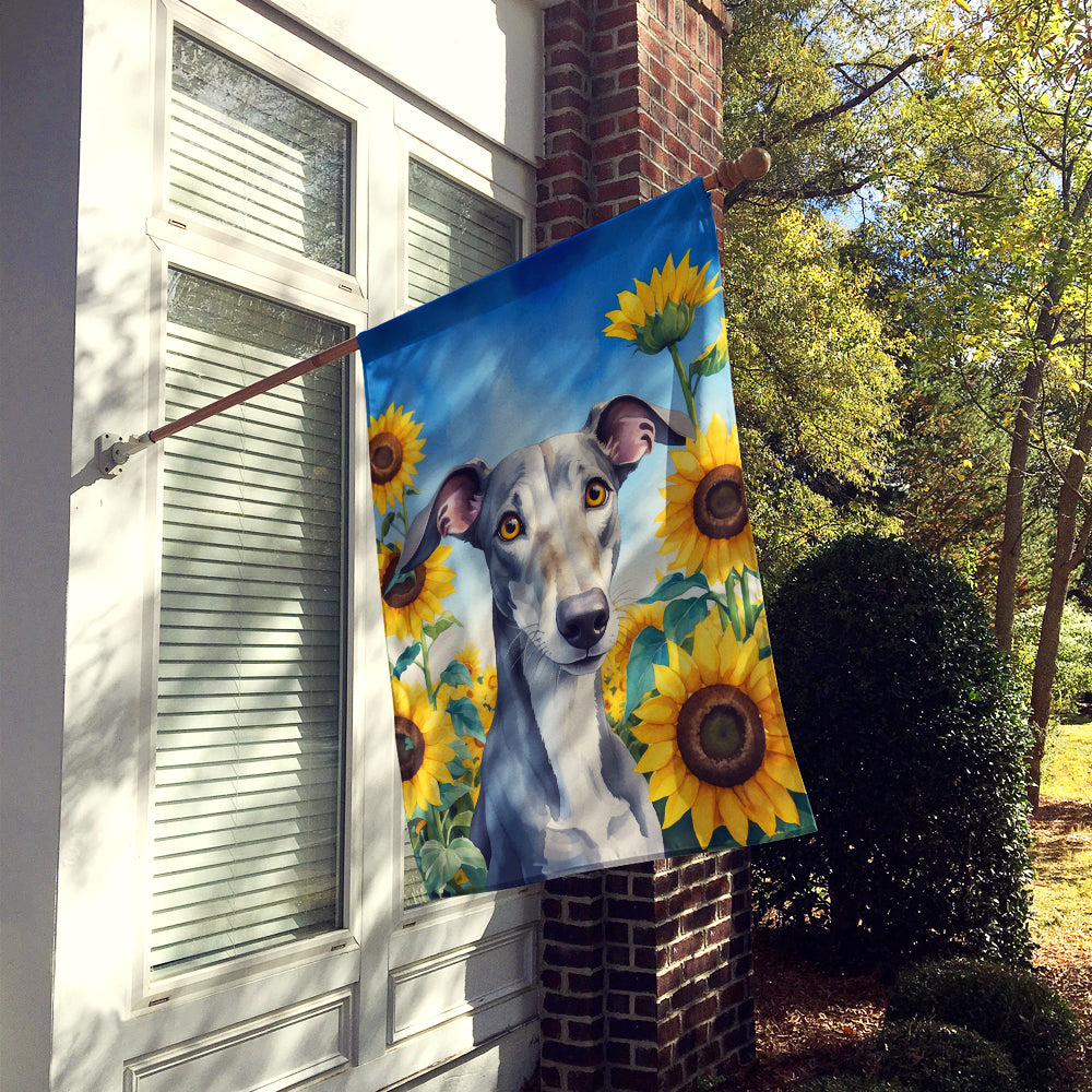 Buy this Greyhound in Sunflowers House Flag