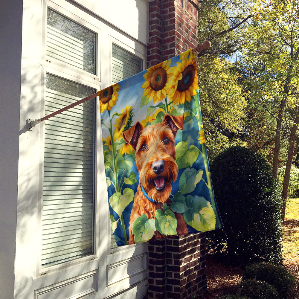 Irish Terrier in Sunflowers House Flag