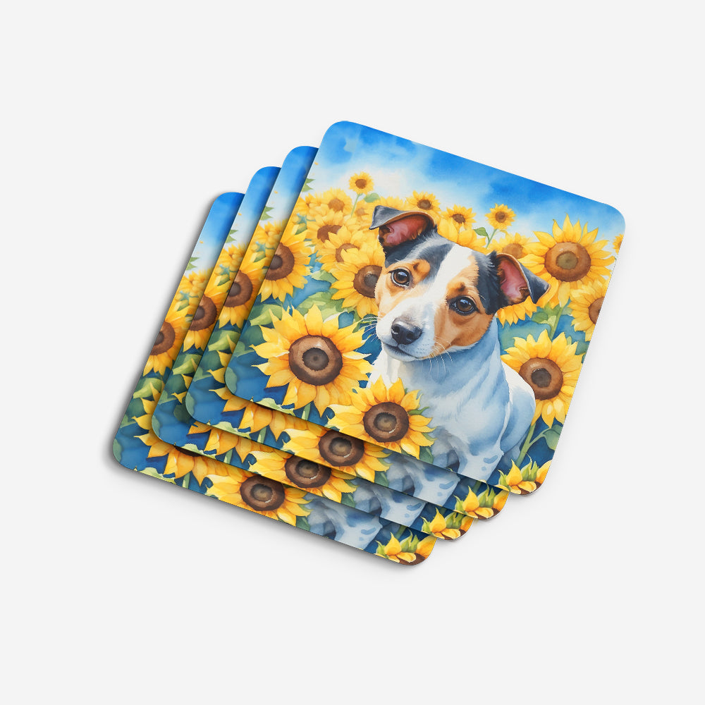 Jack Russell Terrier in Sunflowers Foam Coasters