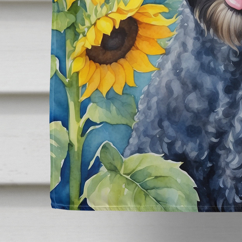 Kerry Blue Terrier in Sunflowers House Flag