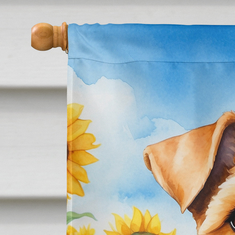 Lakeland Terrier in Sunflowers House Flag