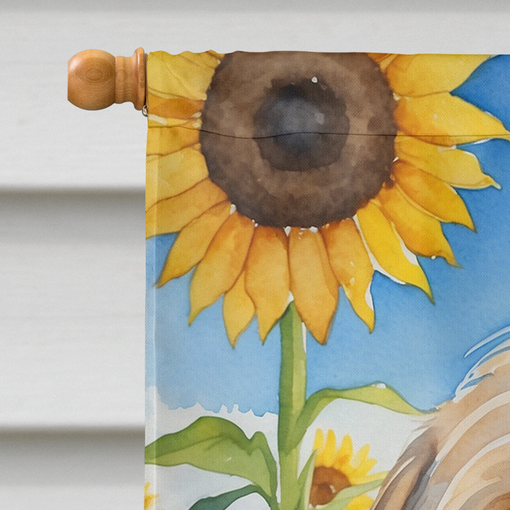 Lhasa Apso in Sunflowers House Flag