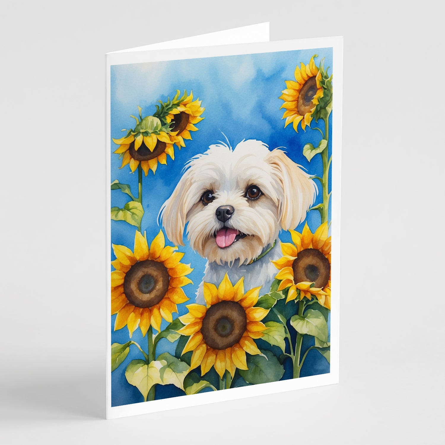 Buy this Maltese in Sunflowers Greeting Cards Pack of 8