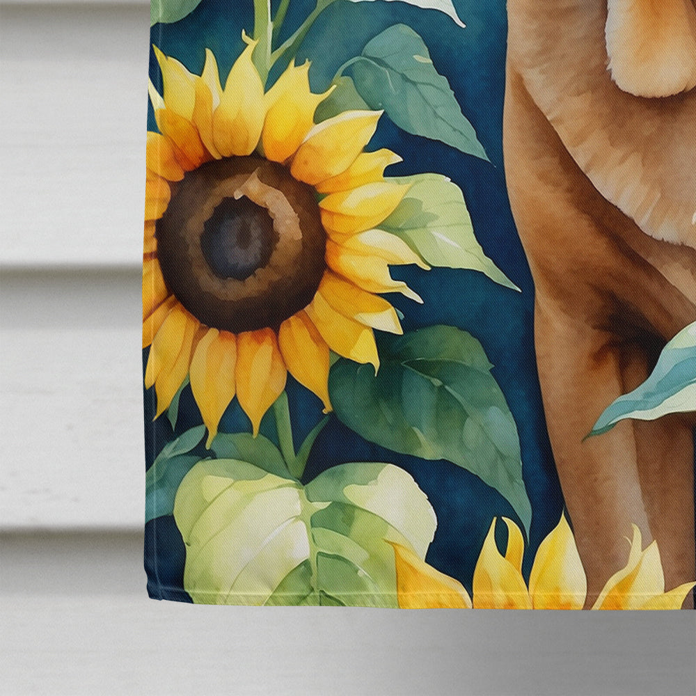 Mastiff in Sunflowers House Flag