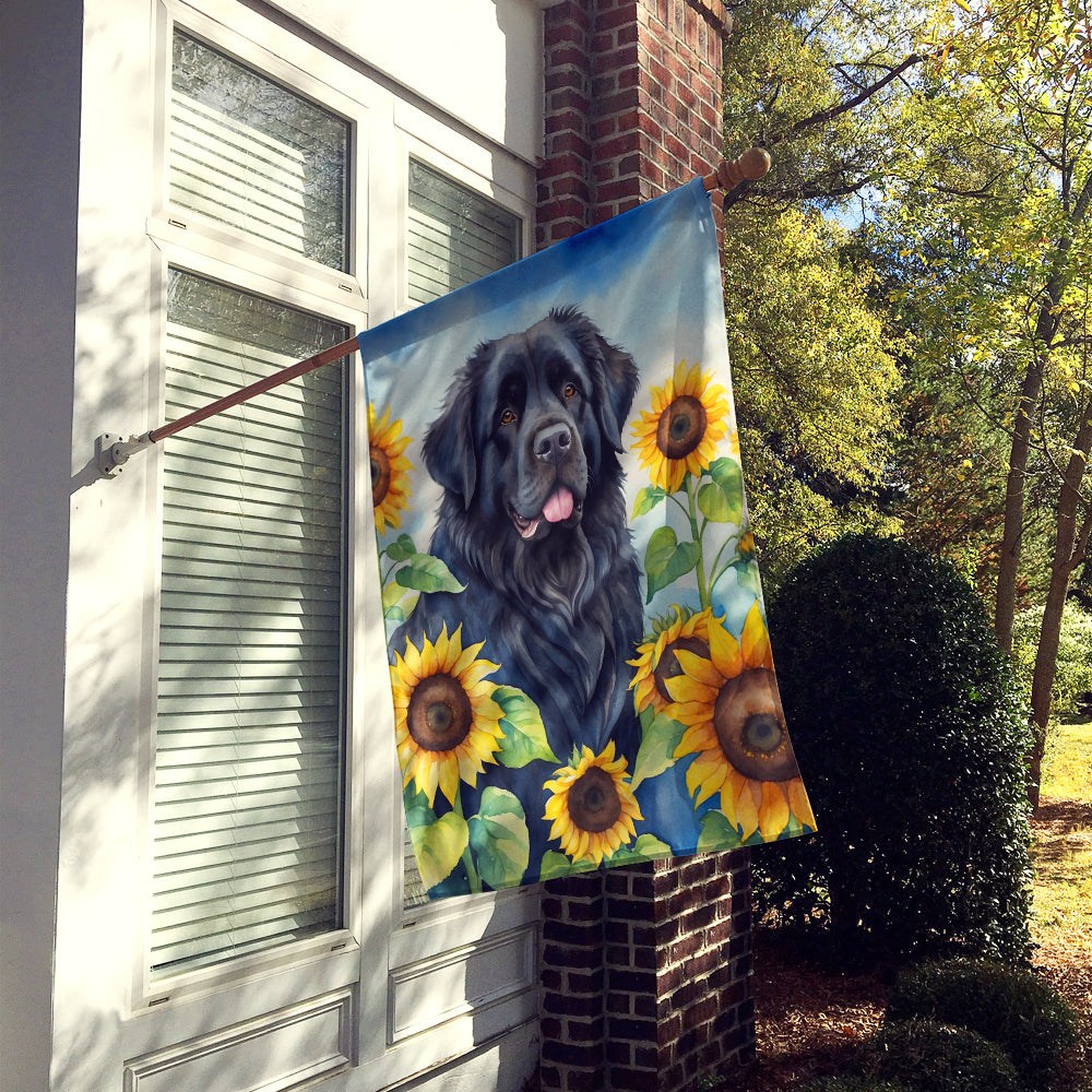 Buy this Newfoundland in Sunflowers House Flag